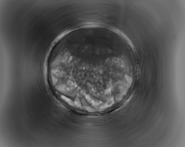 X0000086731419200705111606