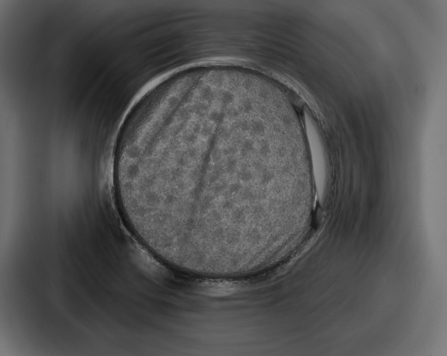 X0000086731420200705111606