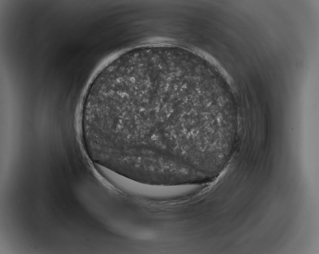 X0000086731421200705111606