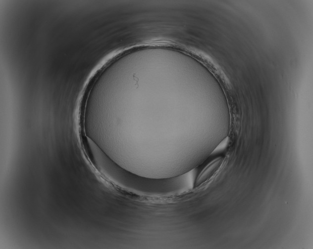 X0000086731422200705111606