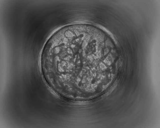 X0000086731423200705111606