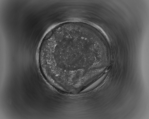 X0000086731424200705111606