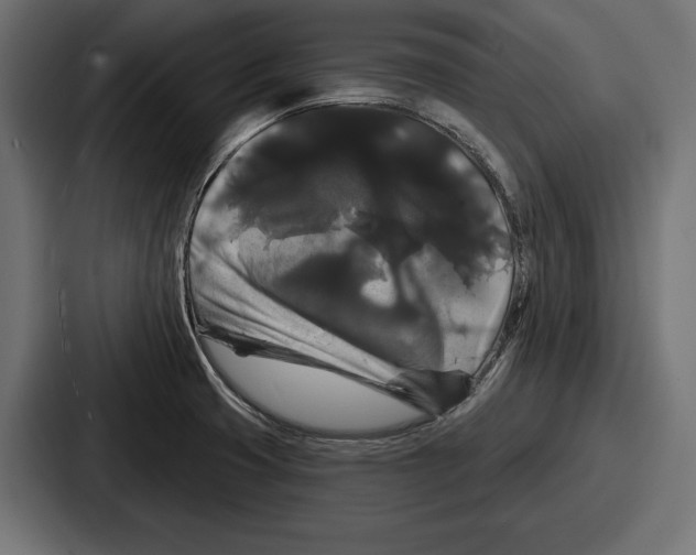 X0000086731425200705111606