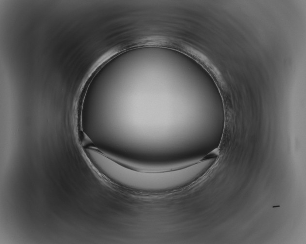 X0000086731426200705111606