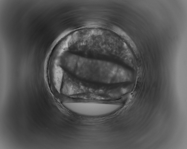 X0000086731427200705111606