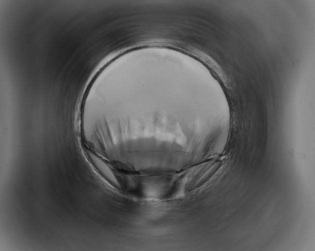 X0000086731428200705111606