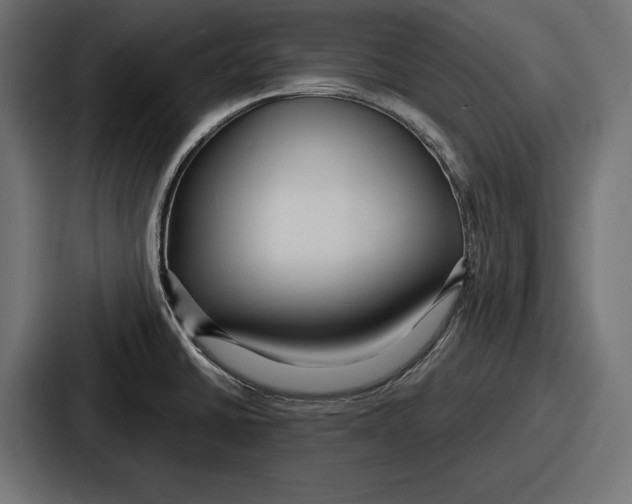 X0000086731430200705111606