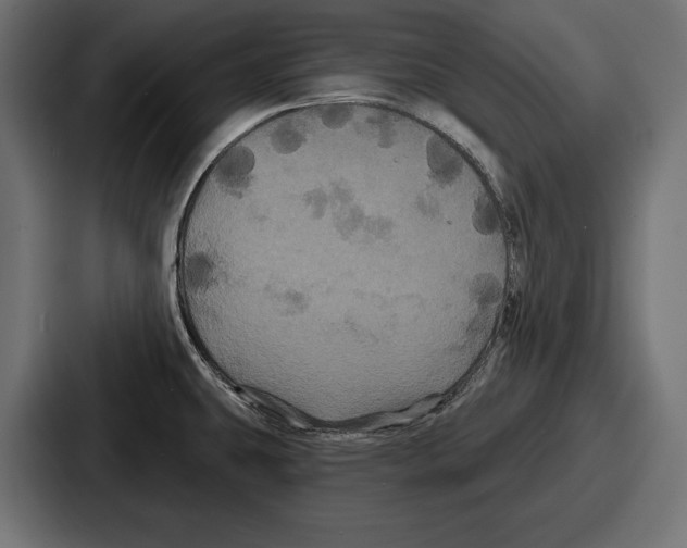 X0000086731431200705111606