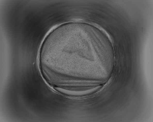 X0000086731432200705111606