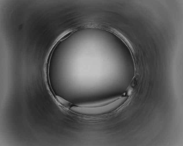 X0000086731434200705111606