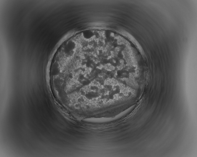 X0000086731435200705111606
