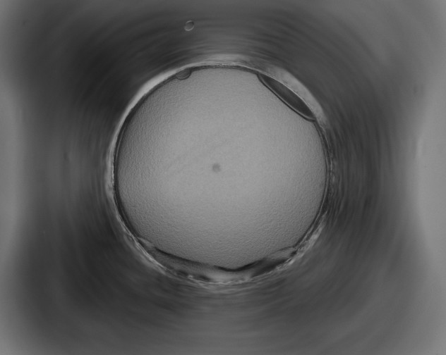 X0000086731436200705111606