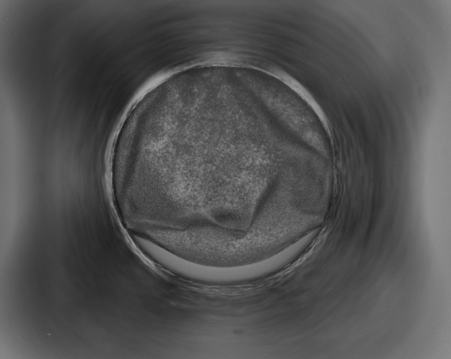 X0000086731437200705111606