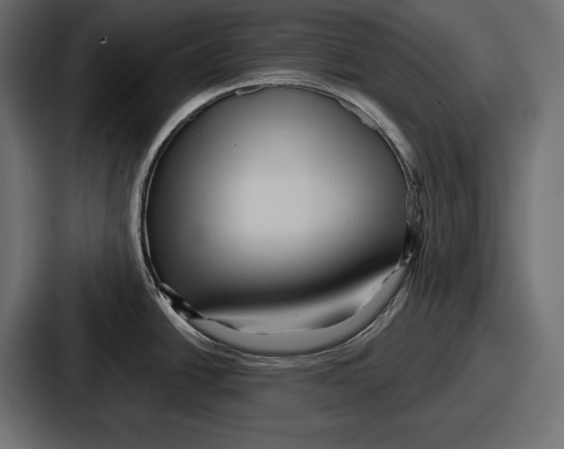 X0000086731438200705111606