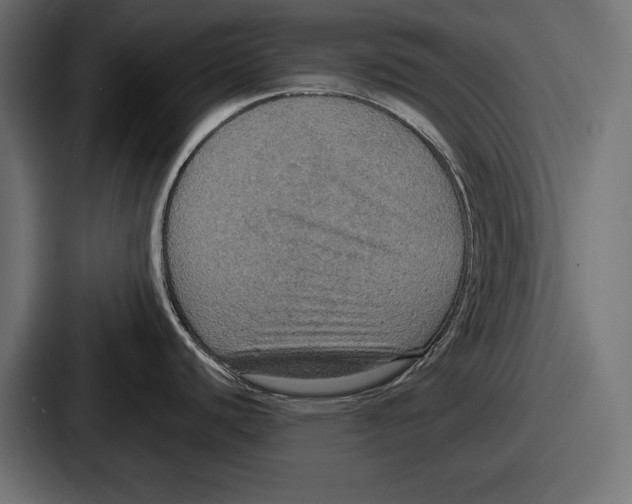 X0000086731440200705111606
