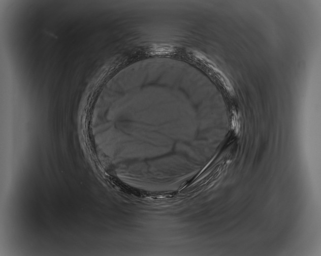 X0000086731441200705111605