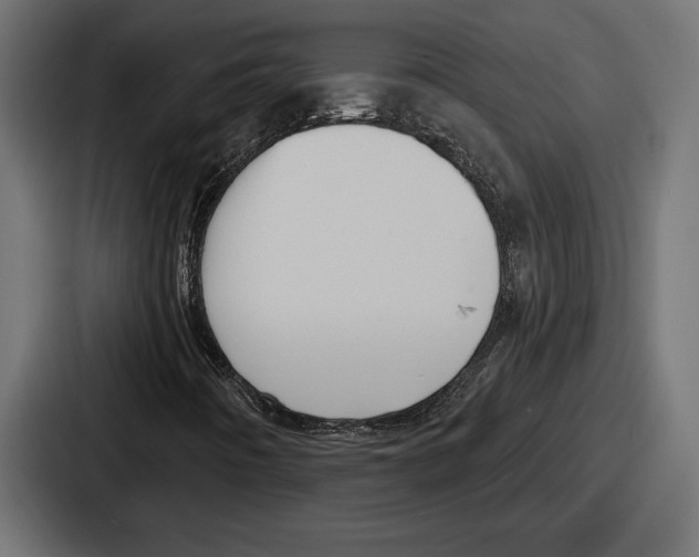 X0000086731442200705111605