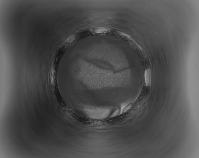X0000086731443200705111605