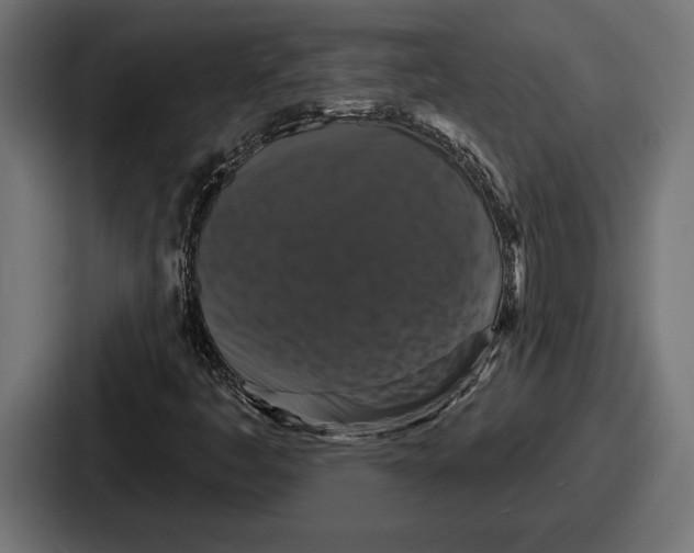 X0000086731445200705111605