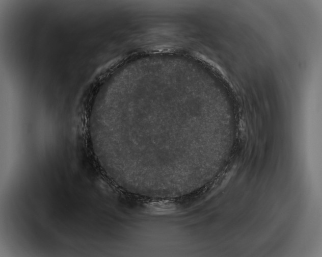 X0000086731447200705111605