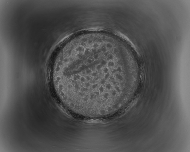 X0000086731448200705111605