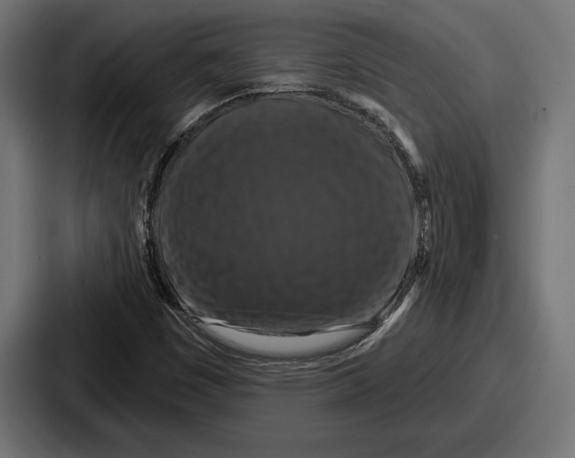 X0000086731449200705111605