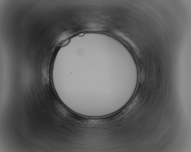 X0000086731451200705111605
