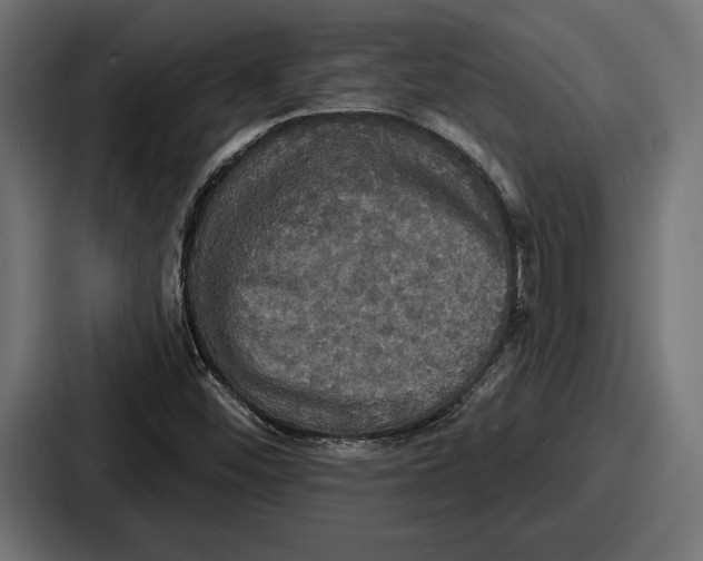 X0000086731452200705111605