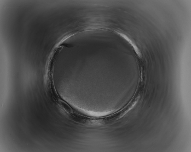 X0000086731453200705111605