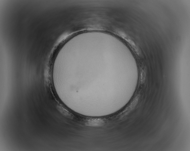 X0000086731454200705111605