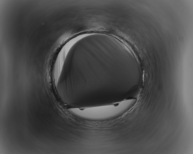 X0000086731455200705111605