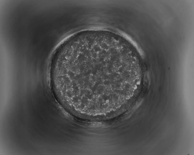 X0000086731456200705111605