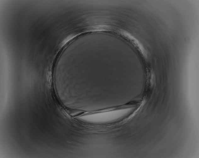 X0000086731457200705111605