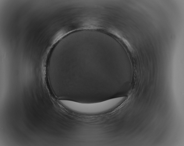 X0000086731459200705111605