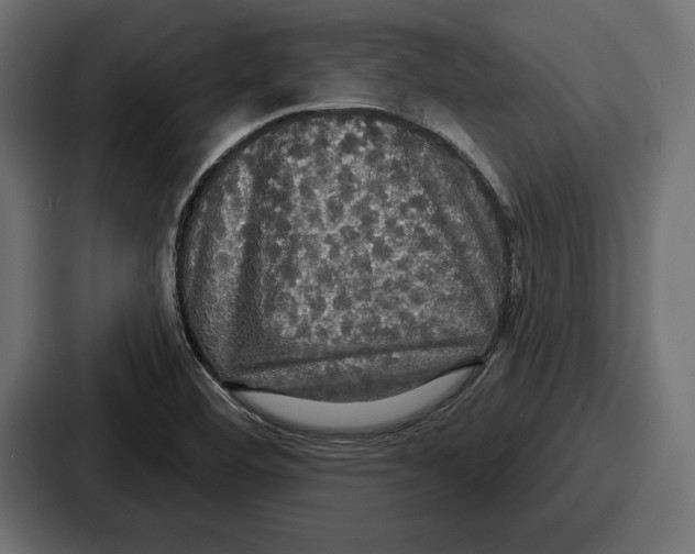 X0000086731460200705111605