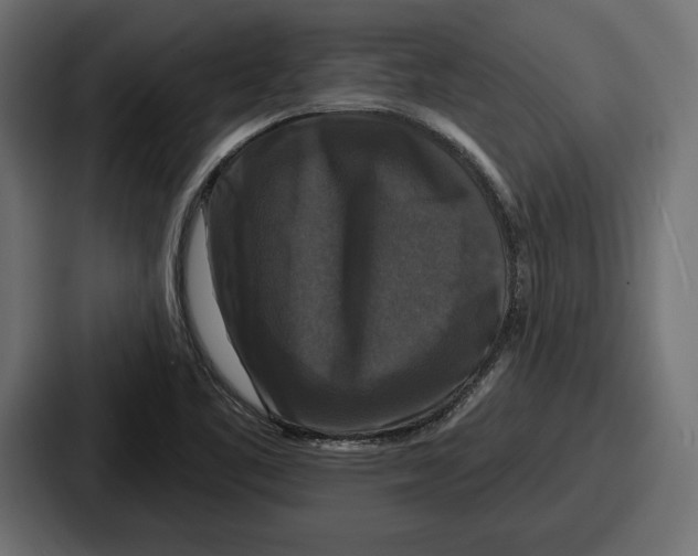 X0000086731461200705111605
