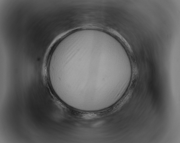 X0000086731462200705111605