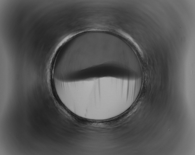 X0000086731463200705111605