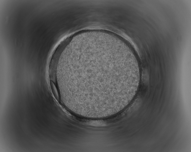 X0000086731464200705111605