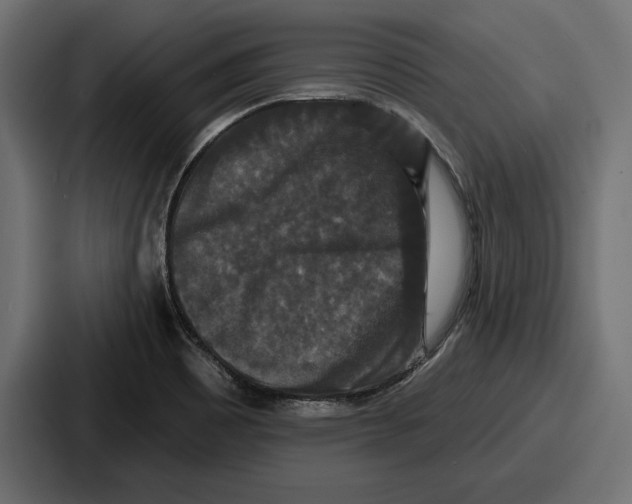 X0000086731465200705111605