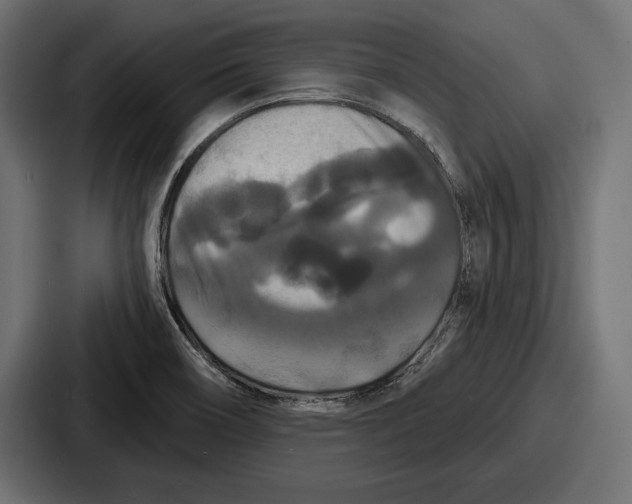 X0000086731466200705111605