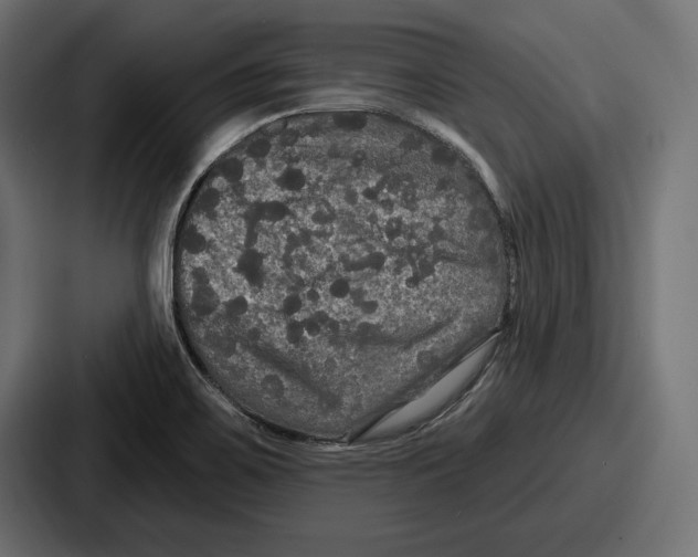 X0000086731467200705111605