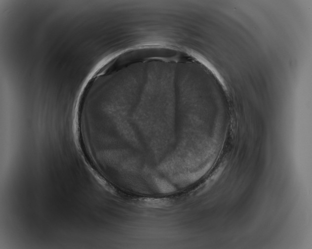 X0000086731469200705111605