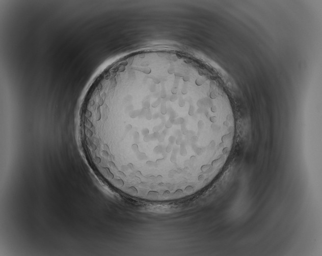 X0000086731470200705111605