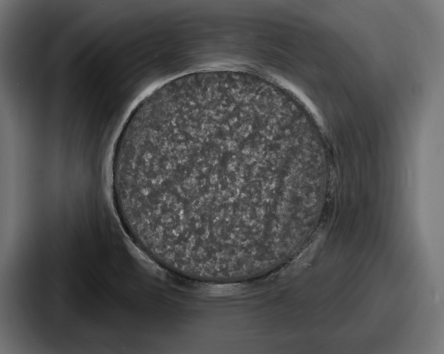 X0000086731471200705111605