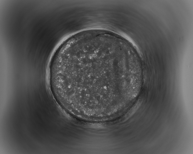 X0000086731472200705111605