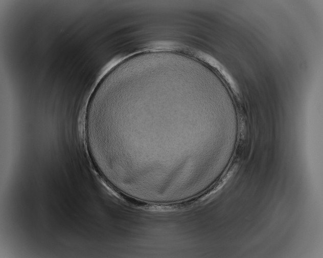 X0000086731473200705111605