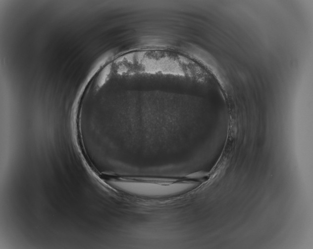 X0000086731475200705111605