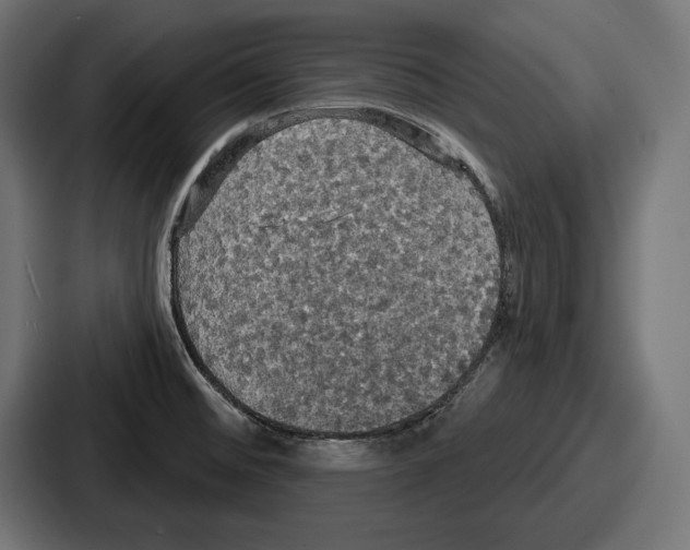X0000086731476200705111605