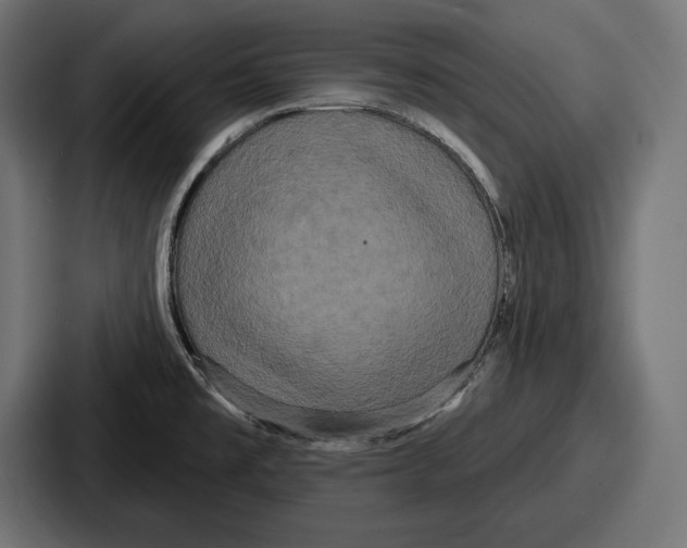 X0000086731477200705111605